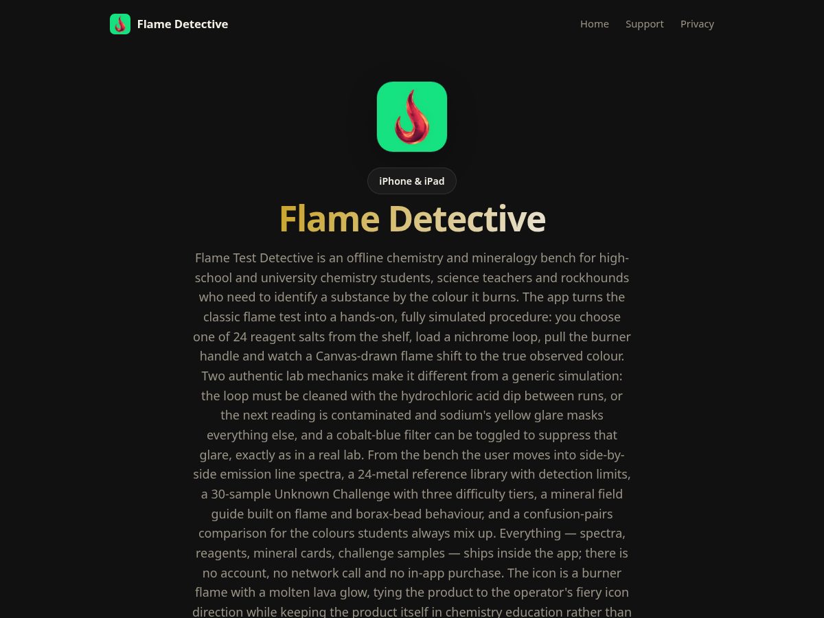 Landing-page snapshot of flamedetective.shop