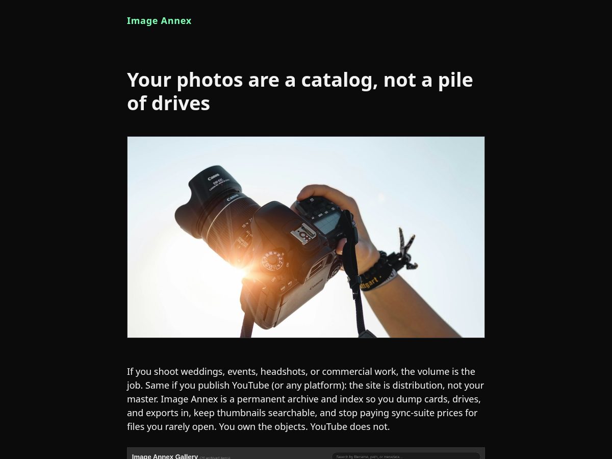 Landing-page snapshot of image-annex.store