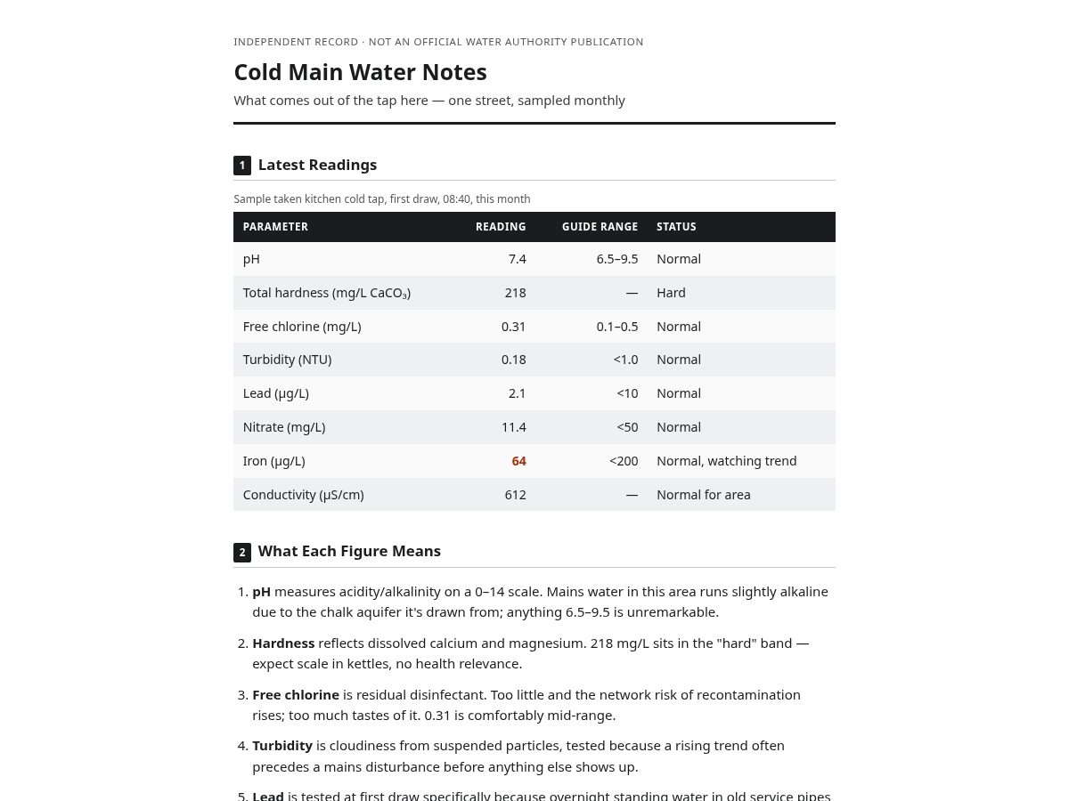 Landing-page snapshot of localhost8080.store