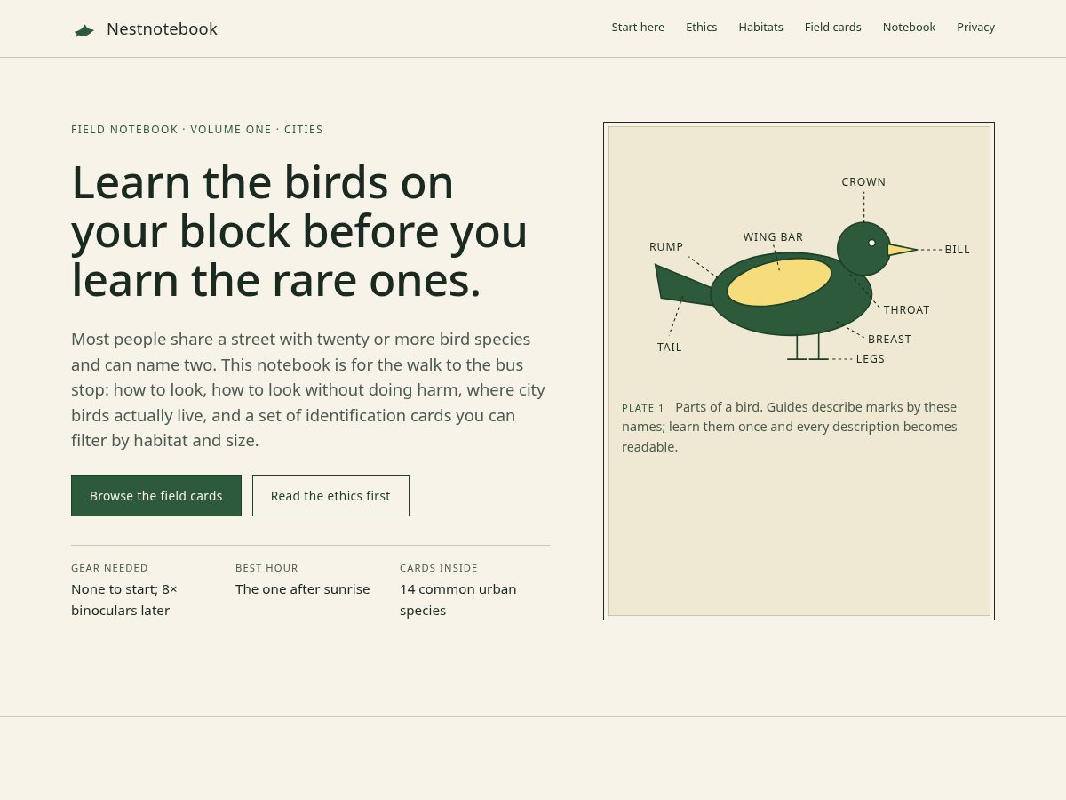Landing-page snapshot of nestnotebook.website