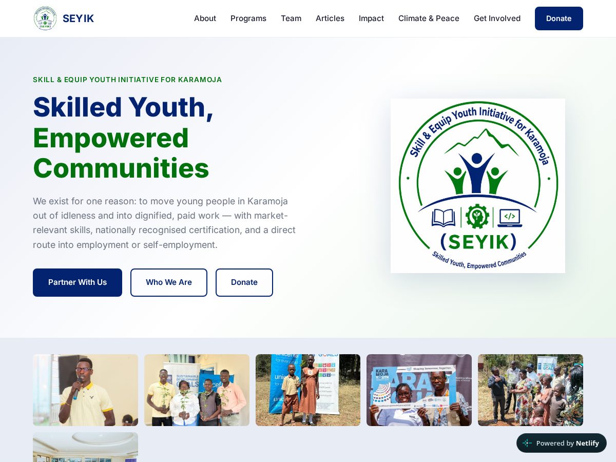 Landing-page snapshot of seyik.org