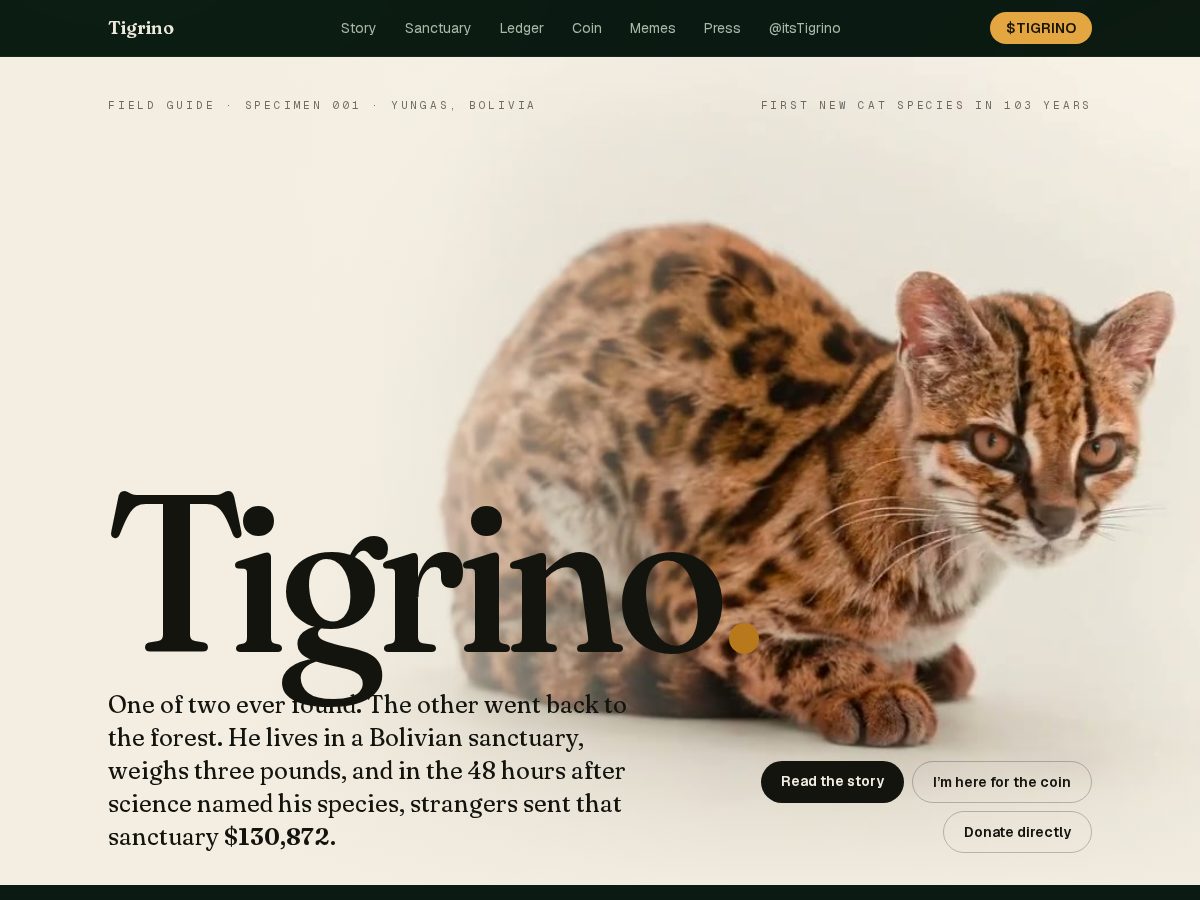 Landing-page snapshot of tigrino.community