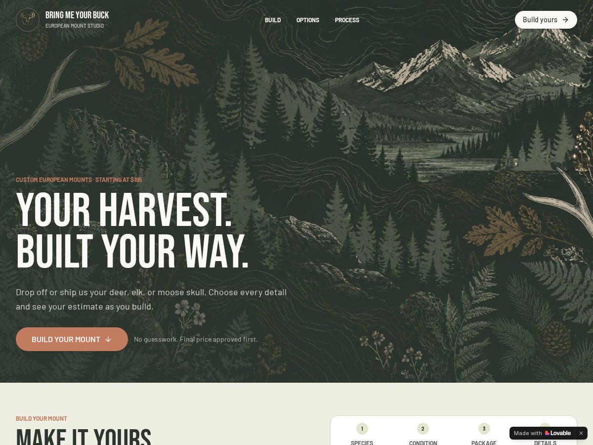 Landing-page snapshot of bringmeyourbuck.com