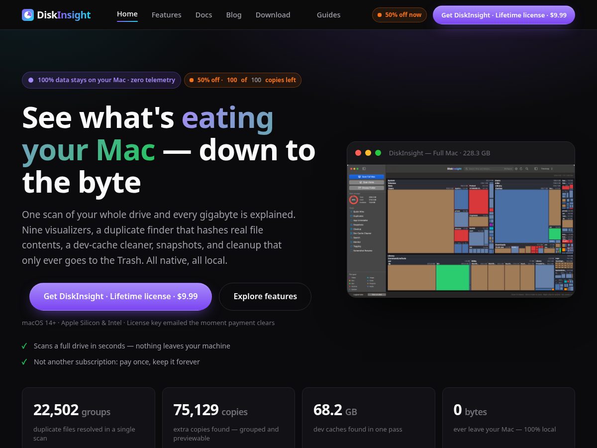 Landing-page snapshot of diskinsight.com
