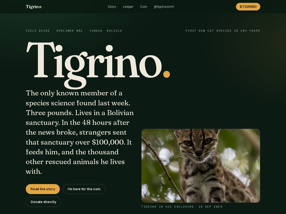 Landing-page snapshot of leopardustilcayo.lol