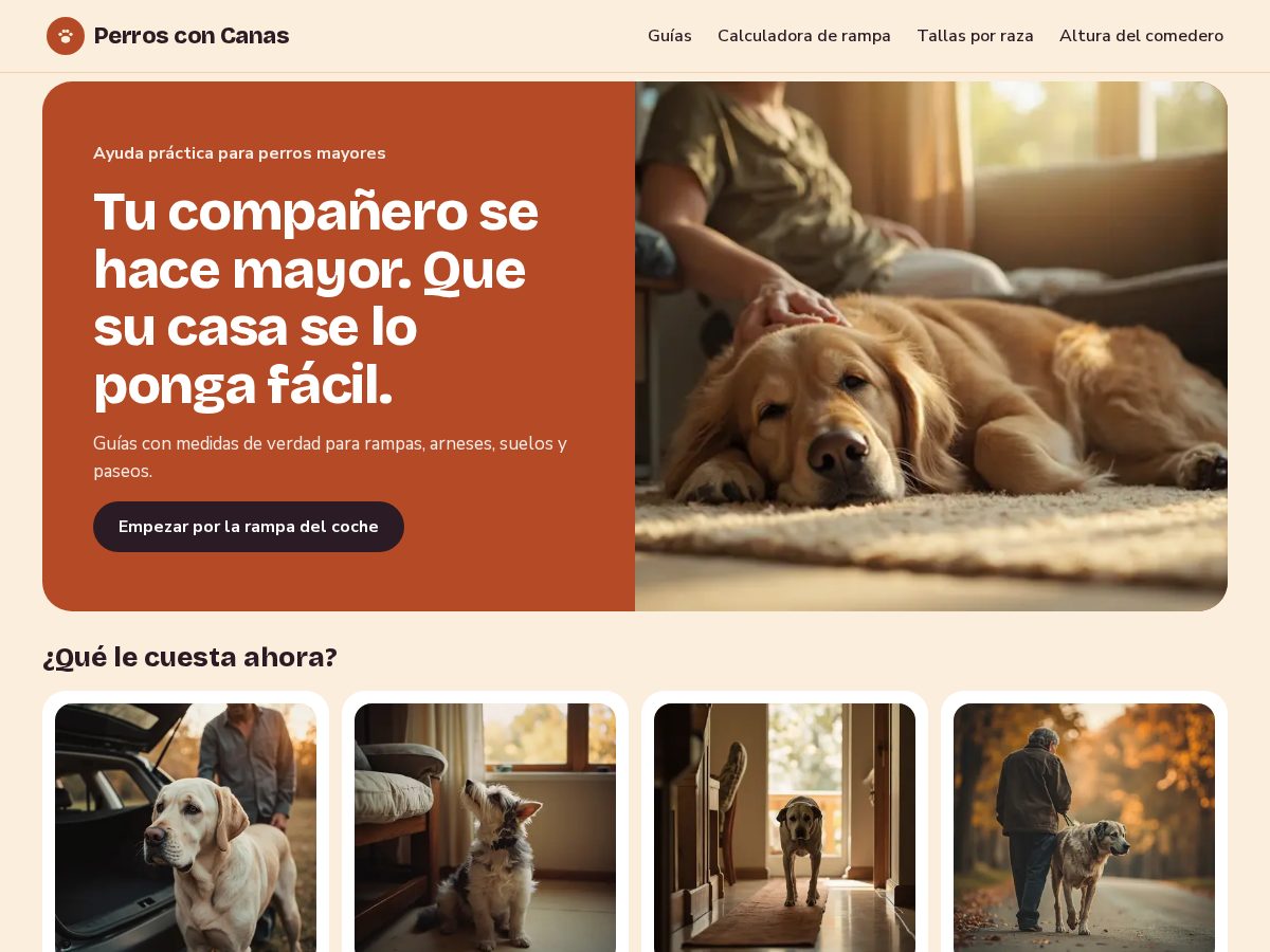 Landing-page snapshot of perrosconcanas.com