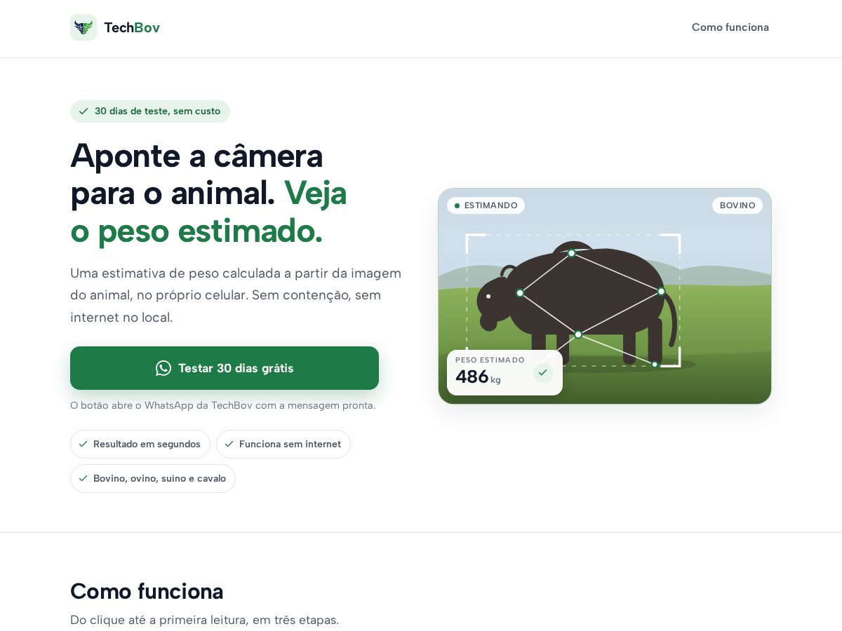 Landing-page snapshot of techbov.online