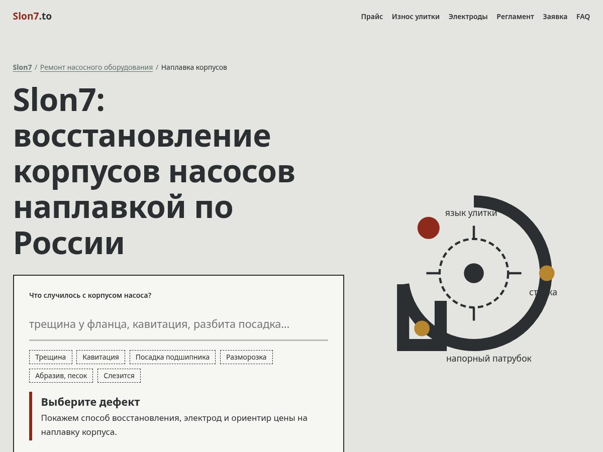 Landing-page snapshot of to7sslon.online