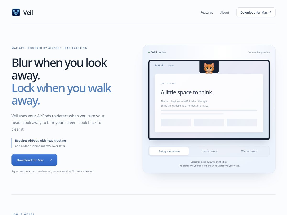 Landing-page snapshot of veil.computer