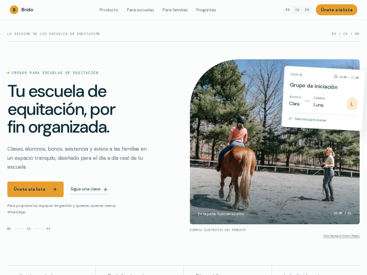 Landing-page snapshot of brido.club