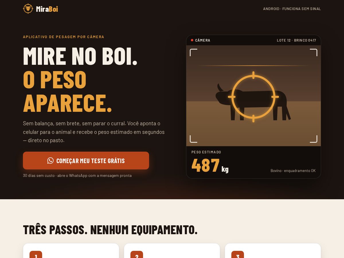 Landing-page snapshot of miraboi.online