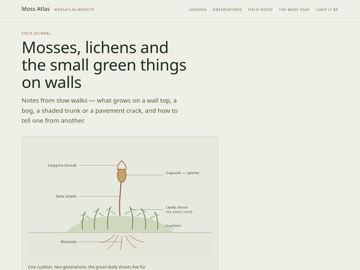 Landing-page snapshot of mossatlas.website