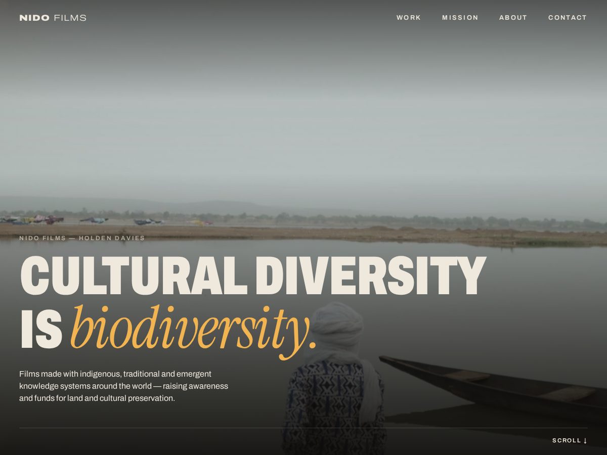 Landing-page snapshot of nido.film