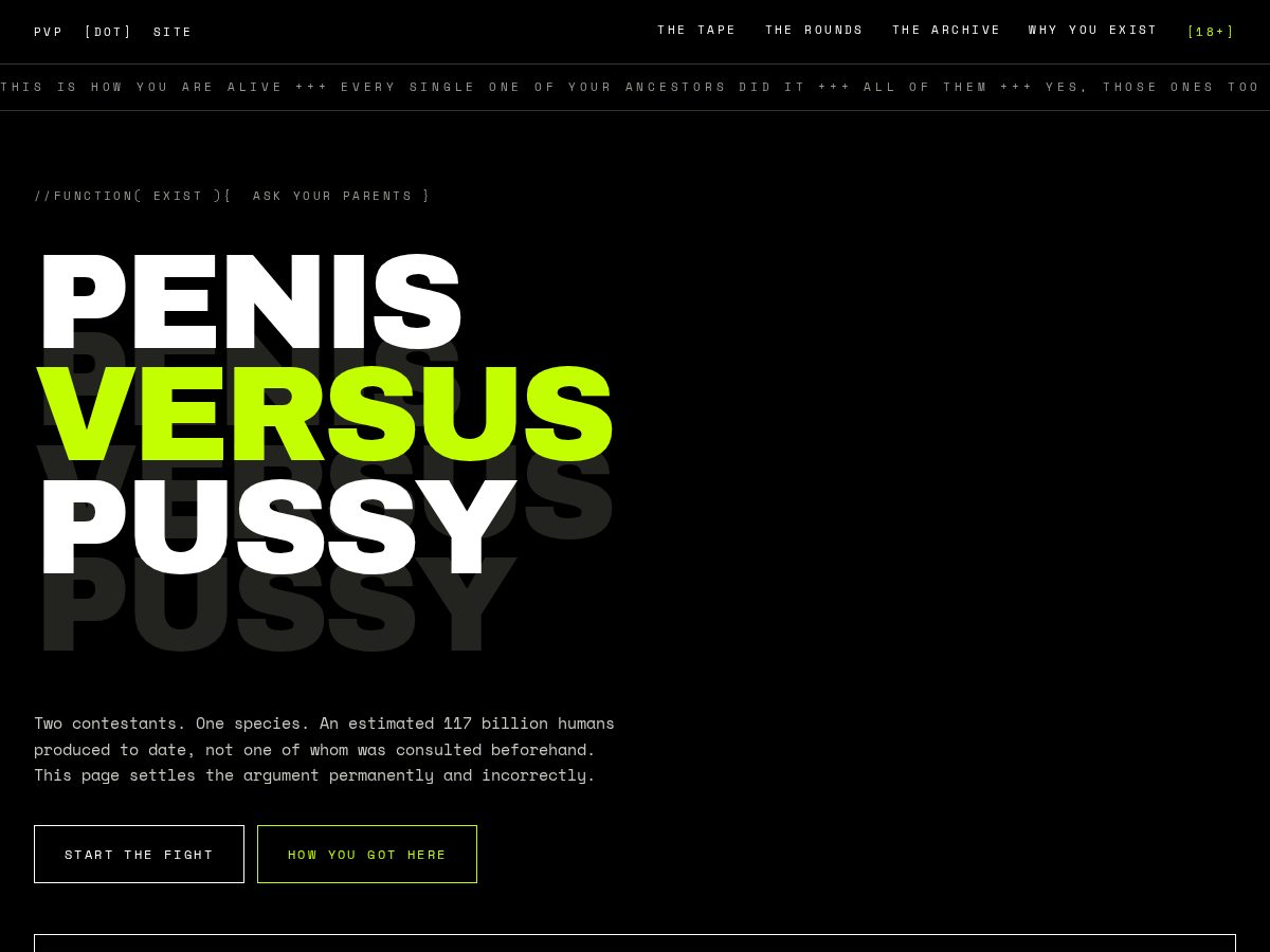 Landing-page snapshot of pvpmeme.xyz