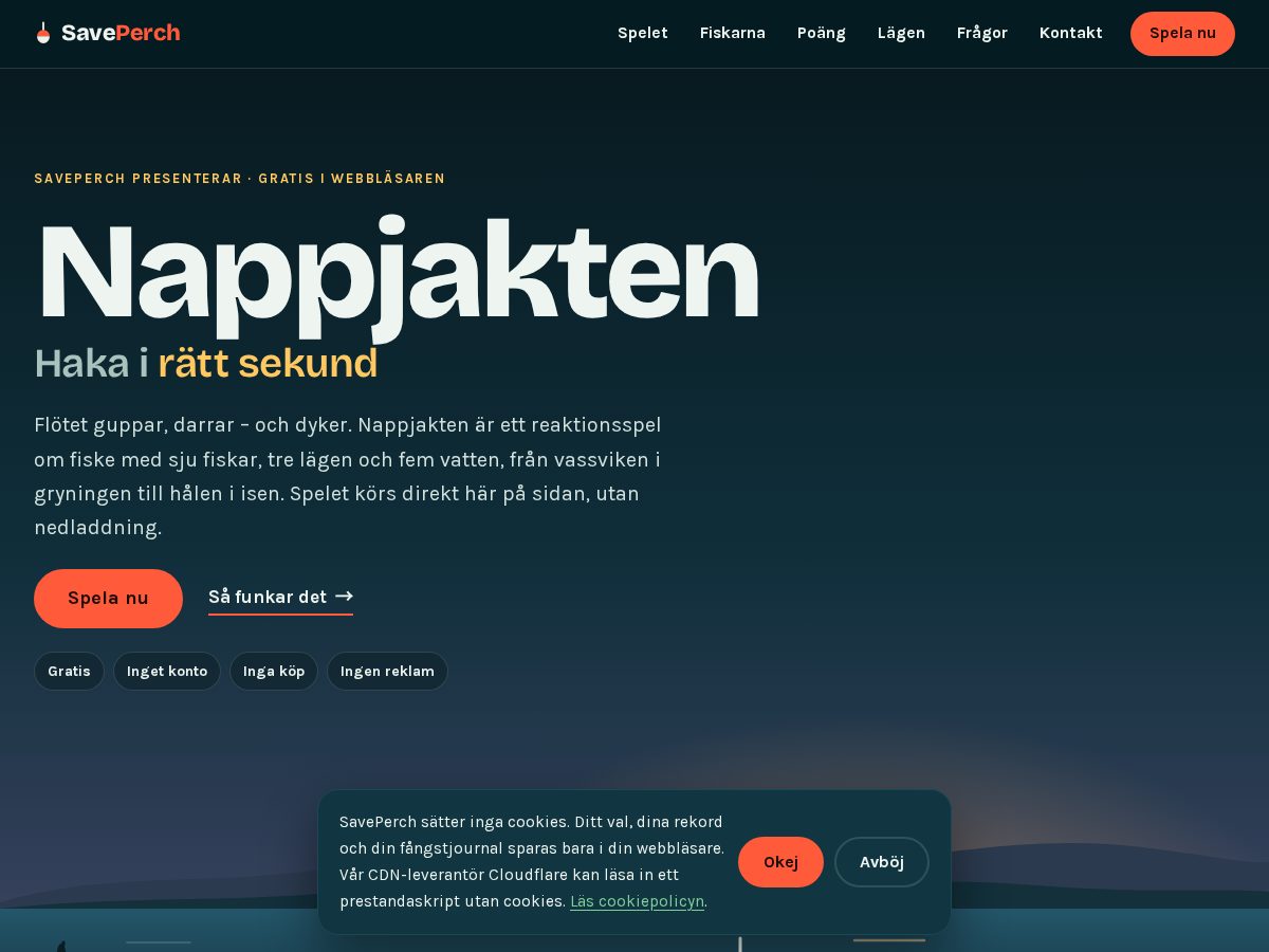 Landing-page snapshot of saveperch.com