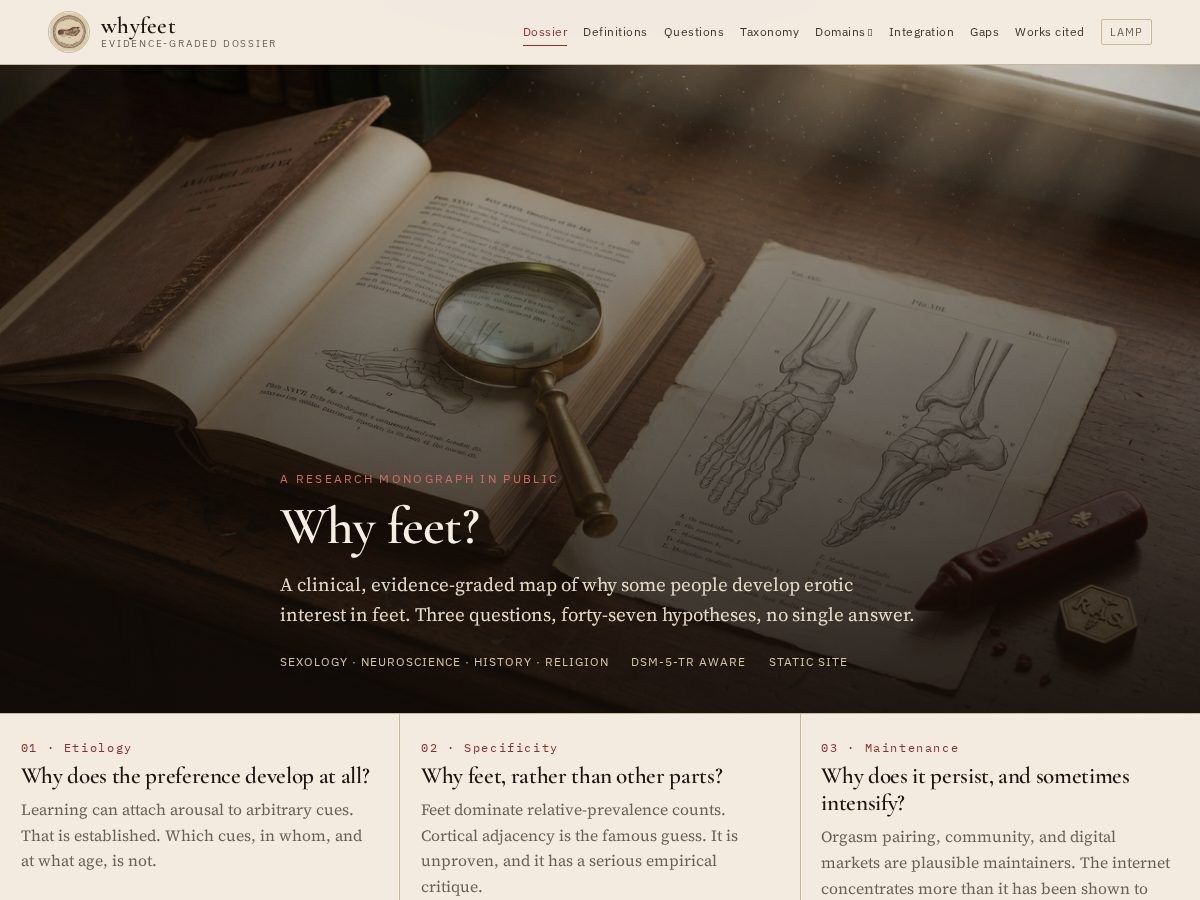 Landing-page snapshot of whyfeet.com