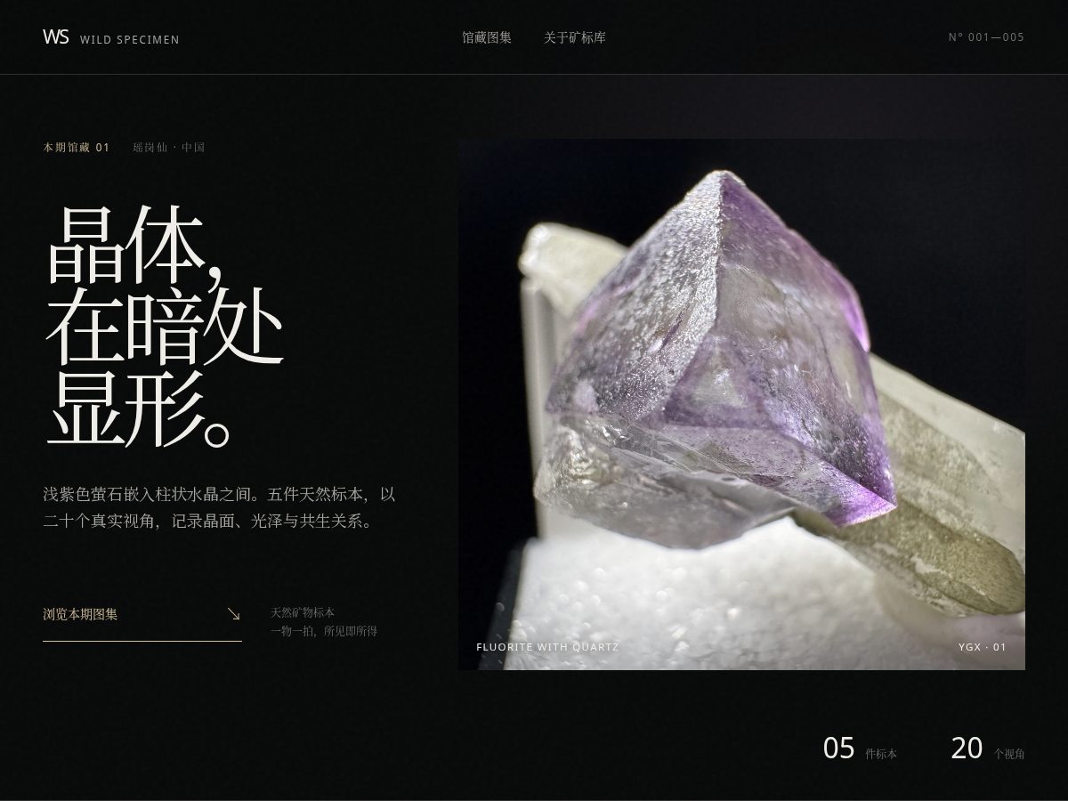 Landing-page snapshot of wildspecimen.top
