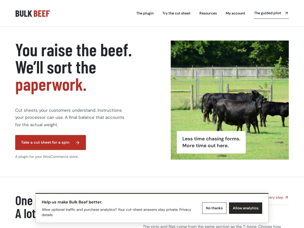 Landing-page snapshot of bulkbeeftool.com