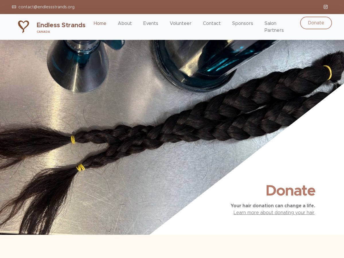 Landing-page snapshot of endlessstrands.org