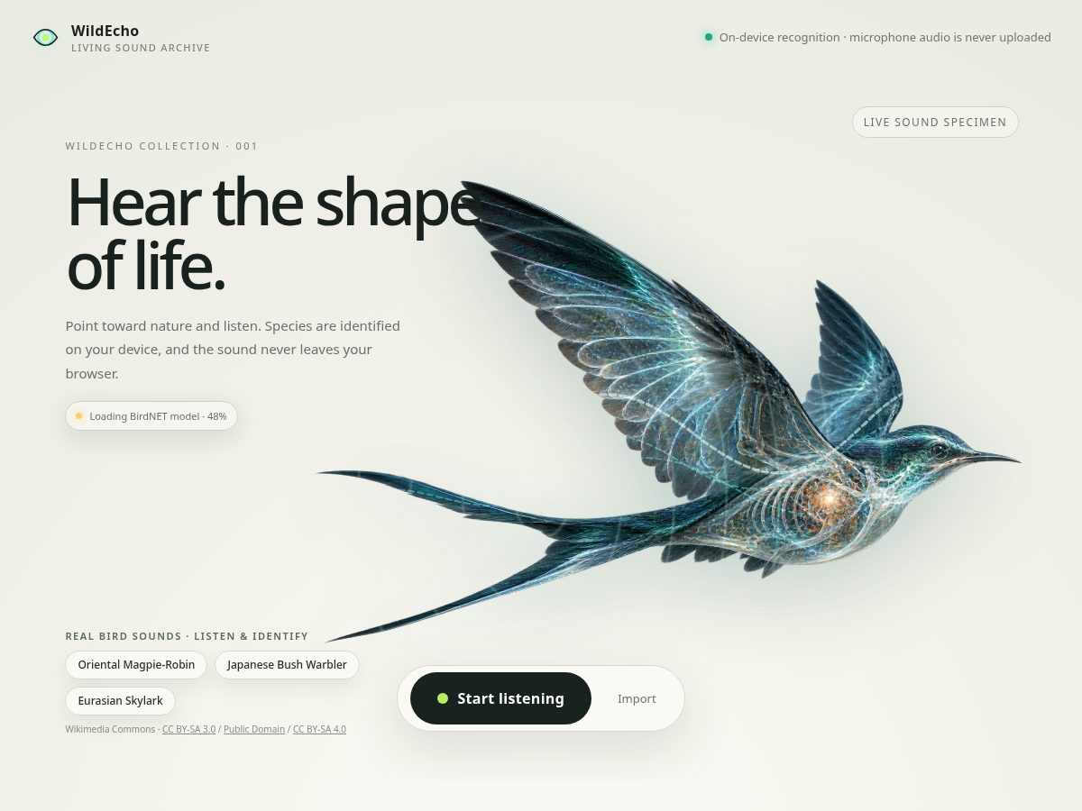 Landing-page snapshot of hearwildecho.xyz