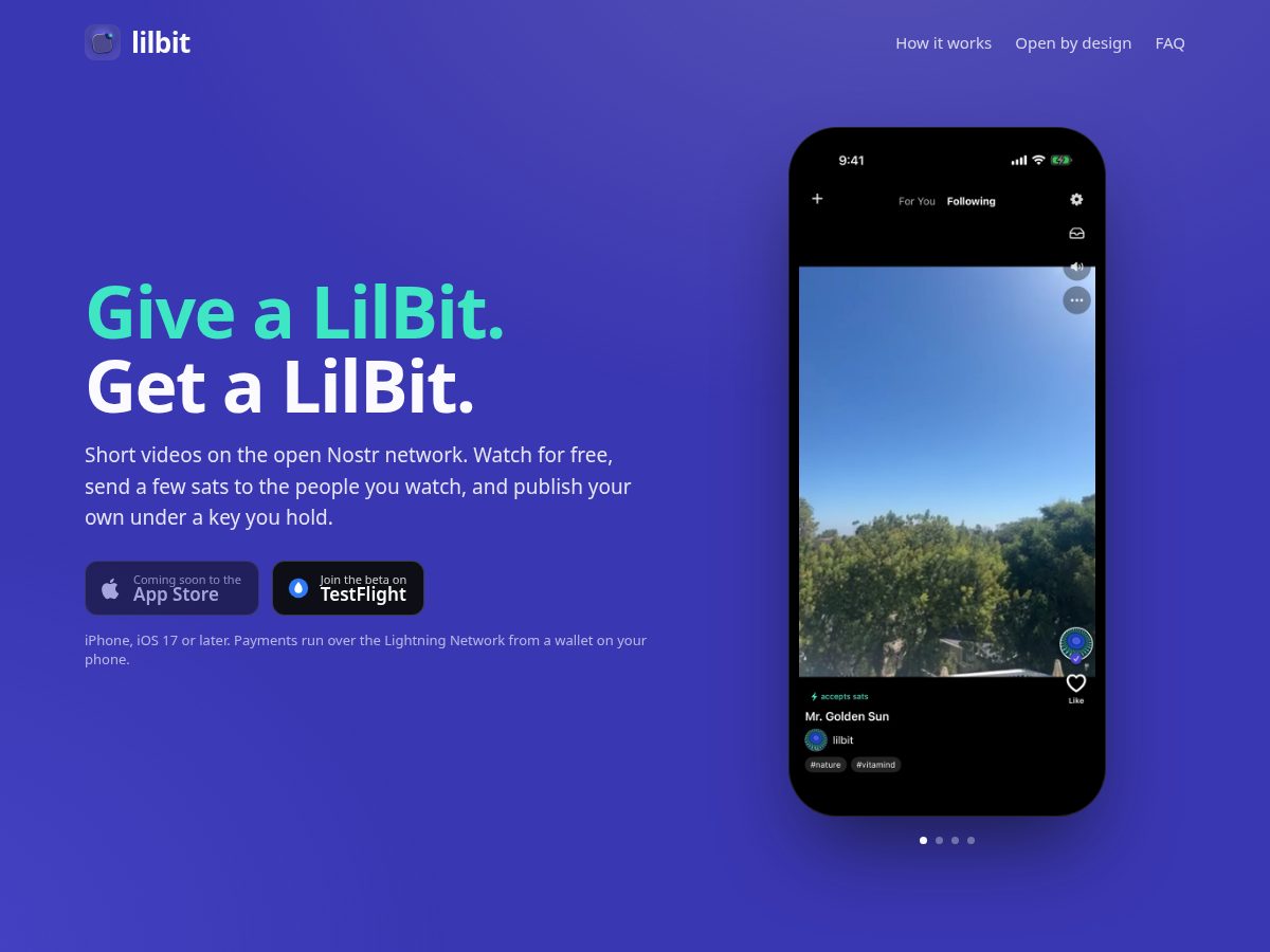 Landing-page snapshot of lilbit.social