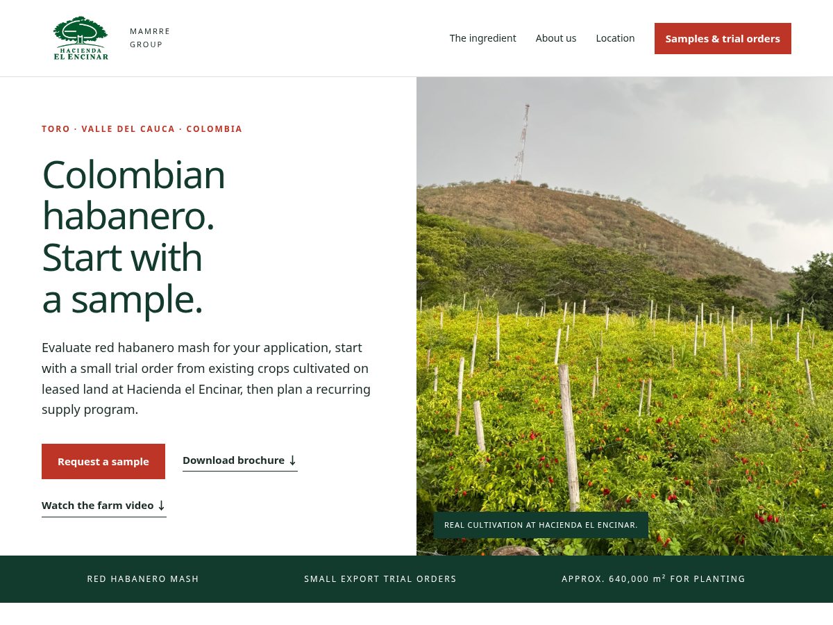 Landing-page snapshot of mamrregroup.lat