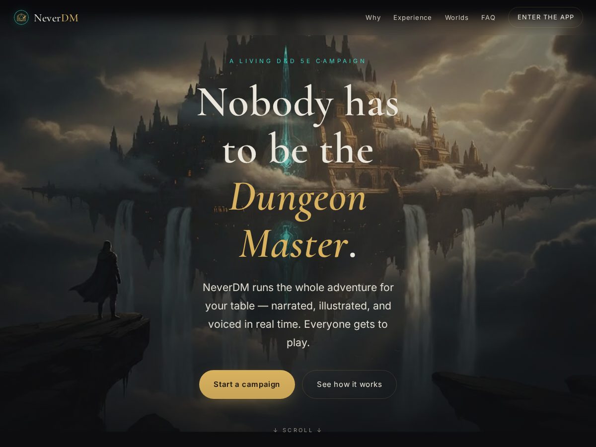 Landing-page snapshot of neverdm.com