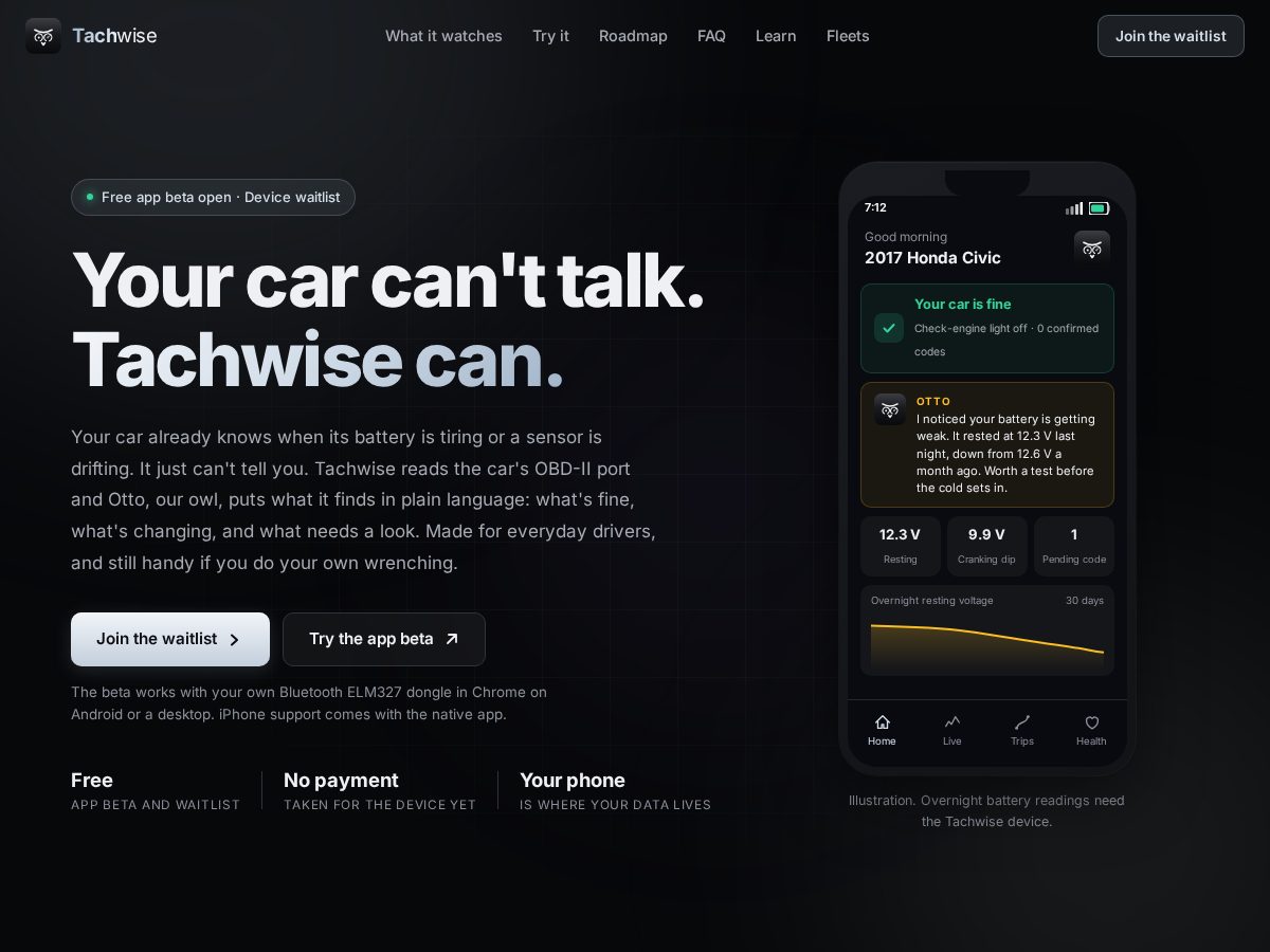 Landing-page snapshot of tachwise.com