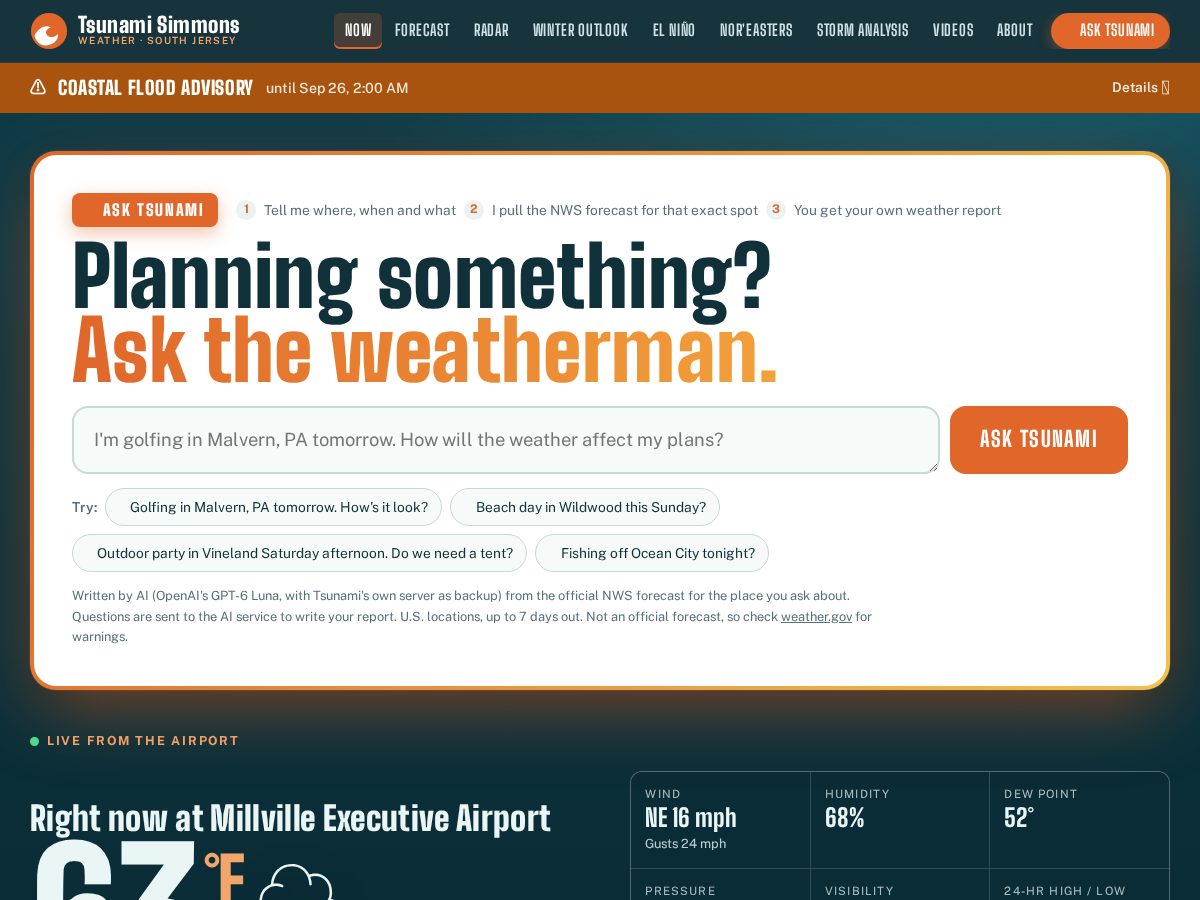Landing-page snapshot of tsunamisimmons.com