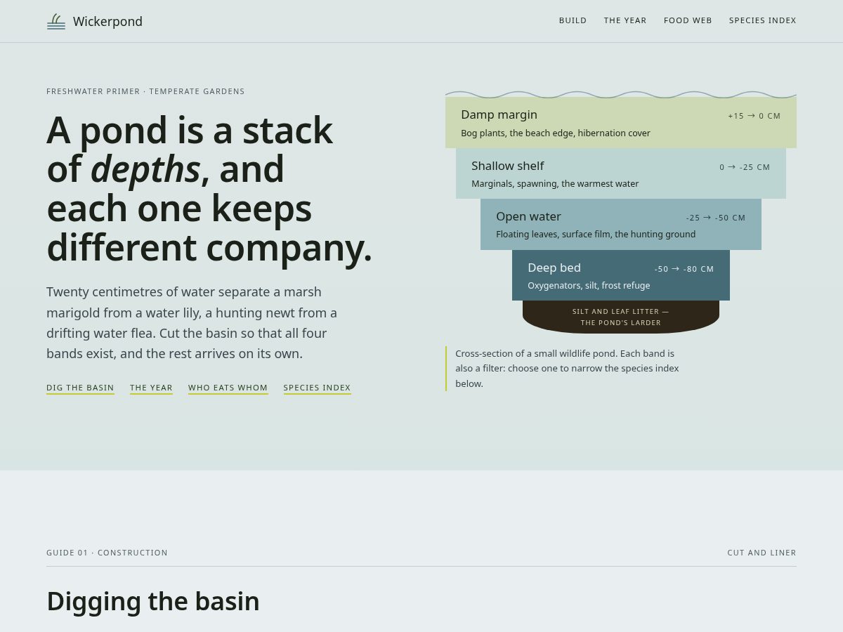 Landing-page snapshot of wickerpond.space