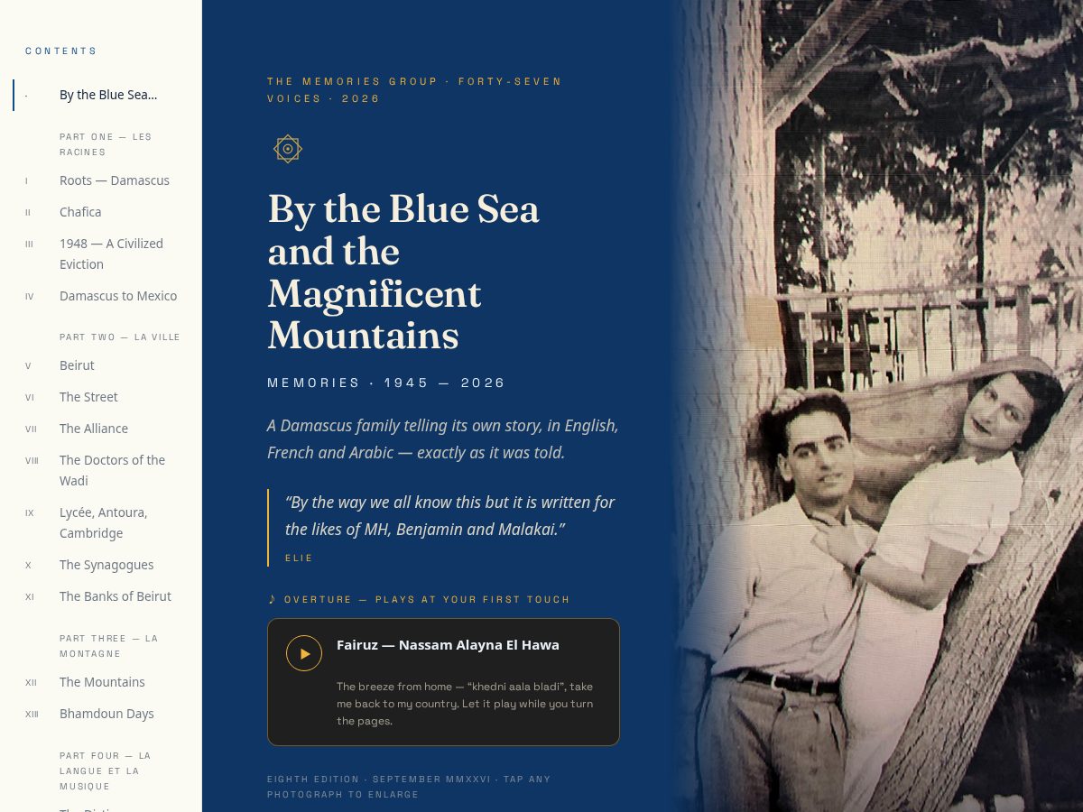 Landing-page snapshot of blueseamountains.net