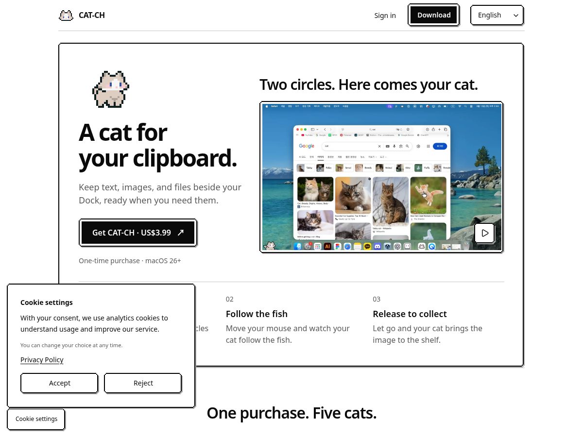 Landing-page snapshot of cat-ch.site