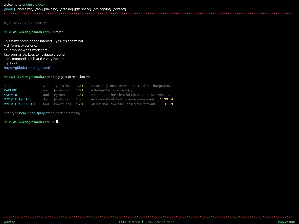 Landing-page snapshot of enginsarak.com