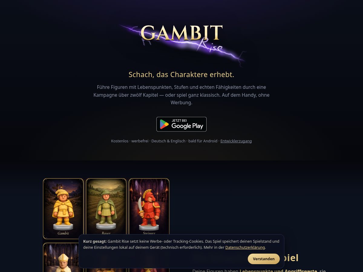 Landing-page snapshot of gambitrise.com
