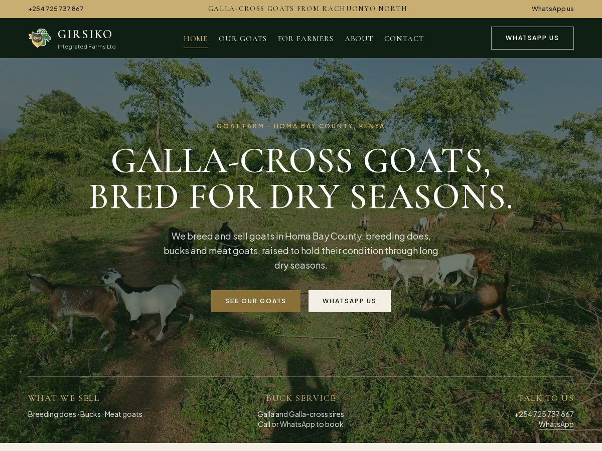 Landing-page snapshot of girsiko.com