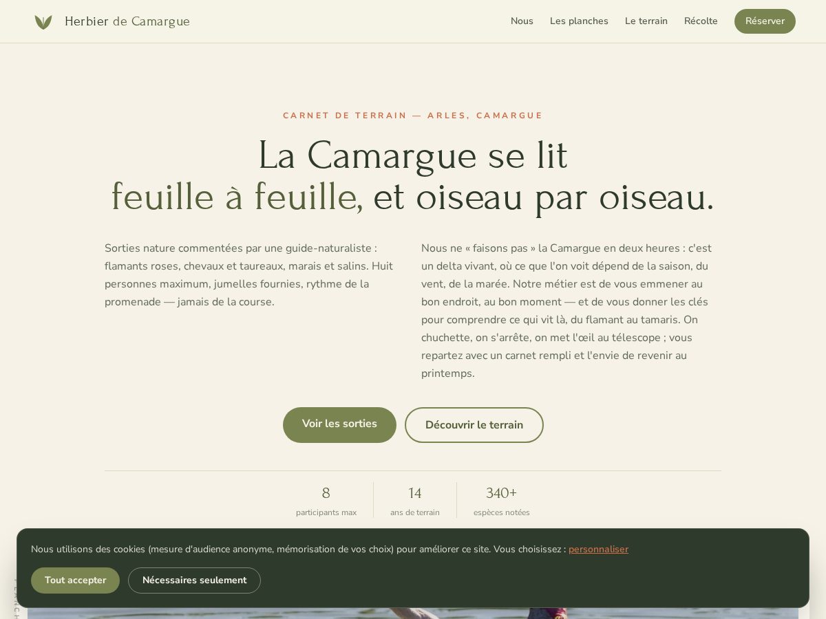 Landing-page snapshot of herbierdecamargue.click