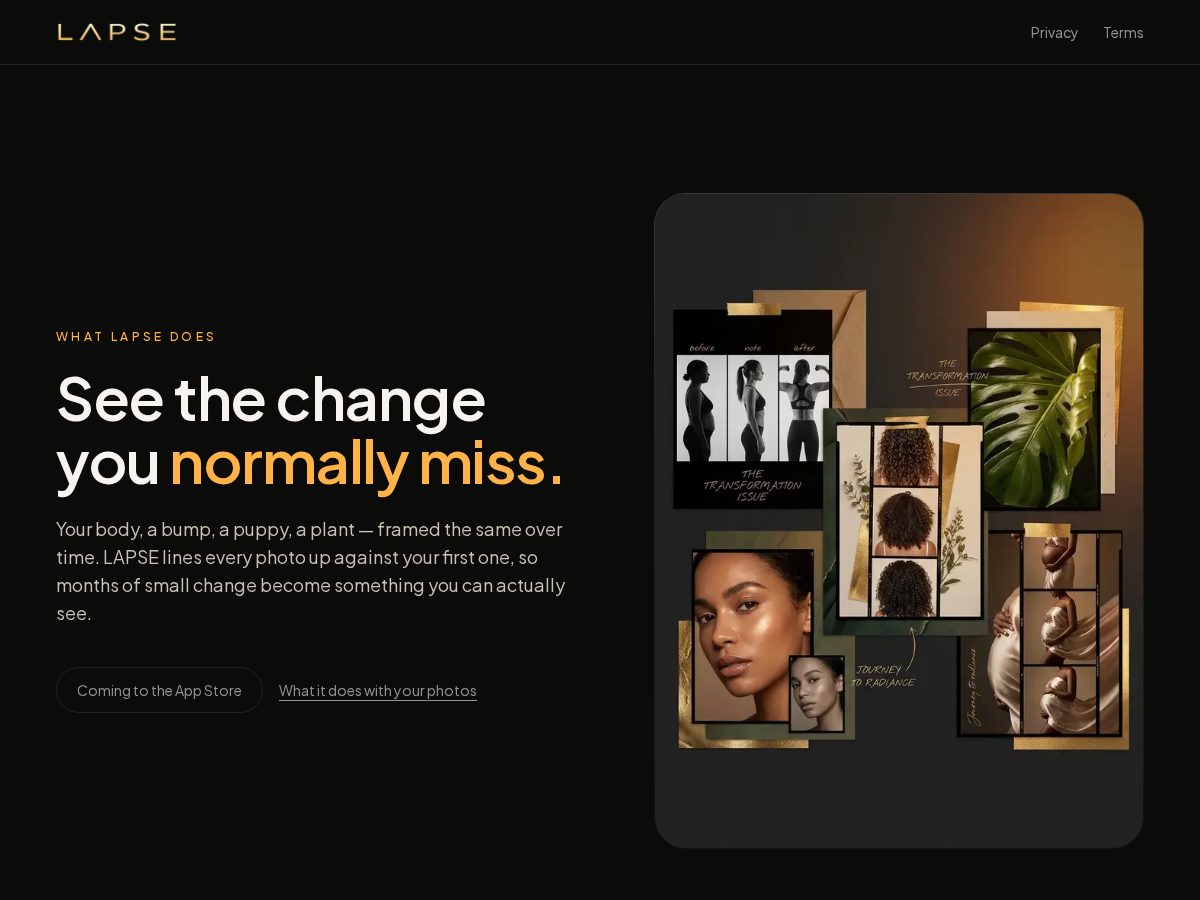 Landing-page snapshot of lapseapp.app