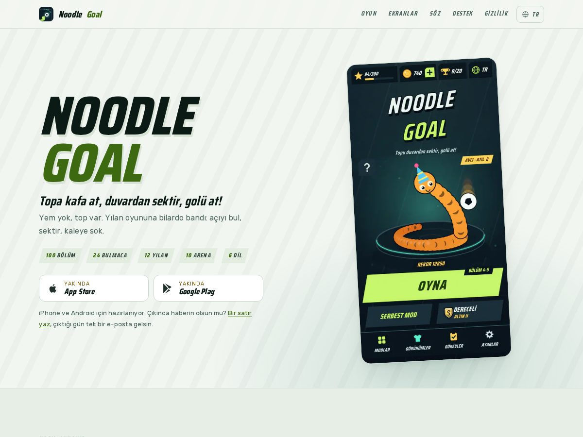 Landing-page snapshot of noodlegoal.com