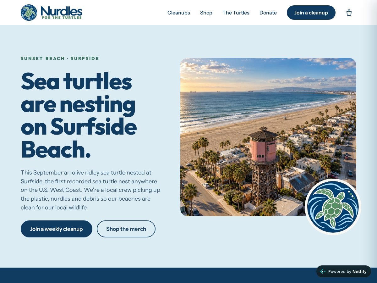 Landing-page snapshot of nurdlesfortheturtles.com