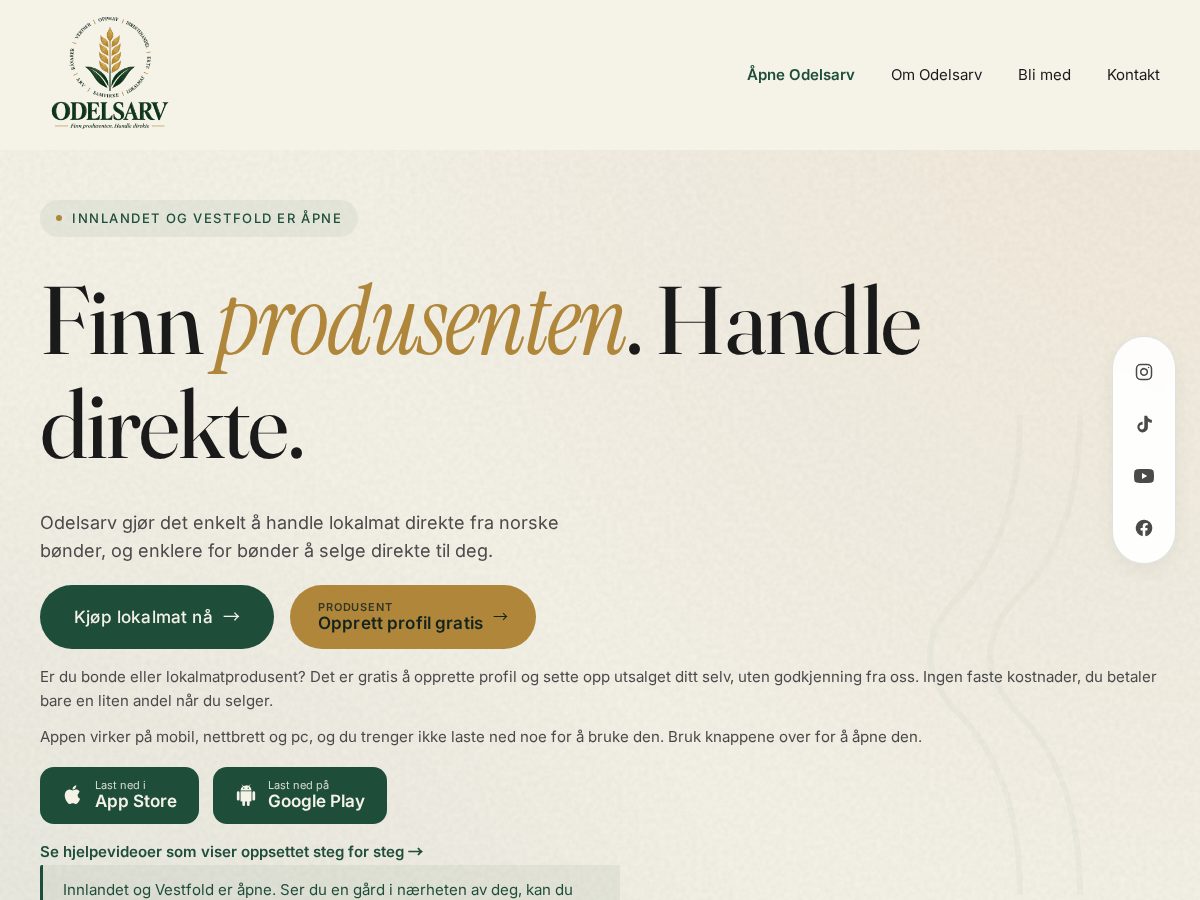 Landing-page snapshot of odelarv.online