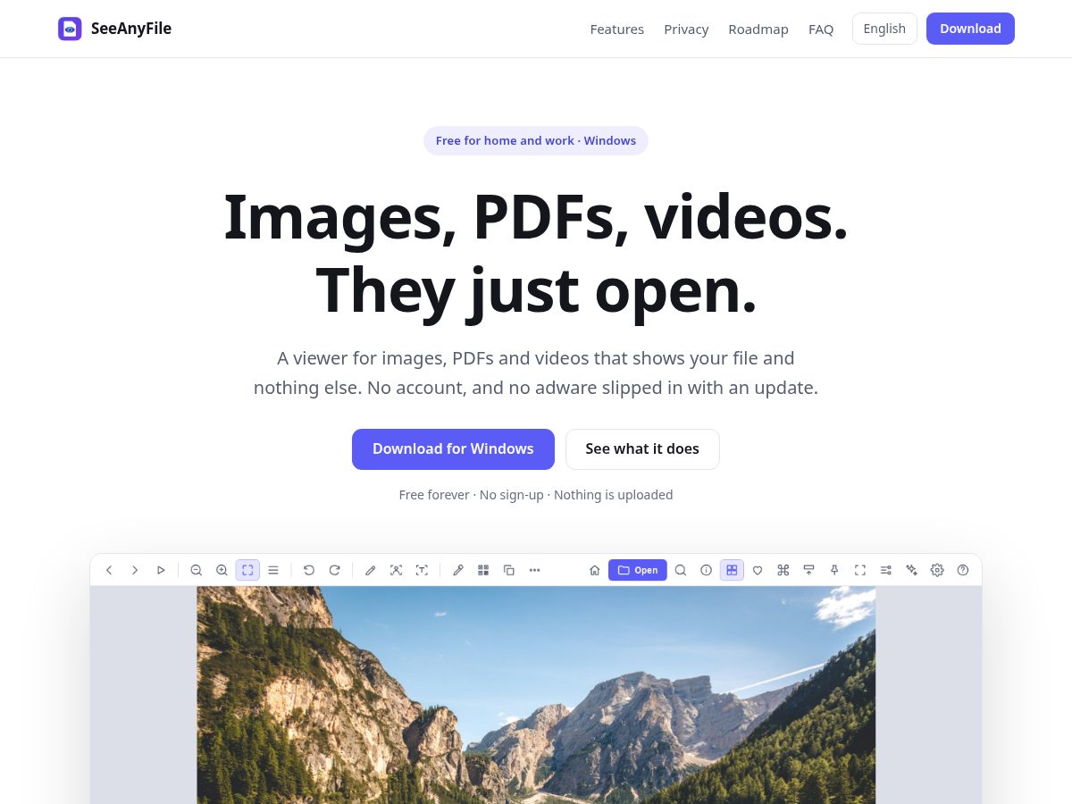 Landing-page snapshot of seeanyfile.com