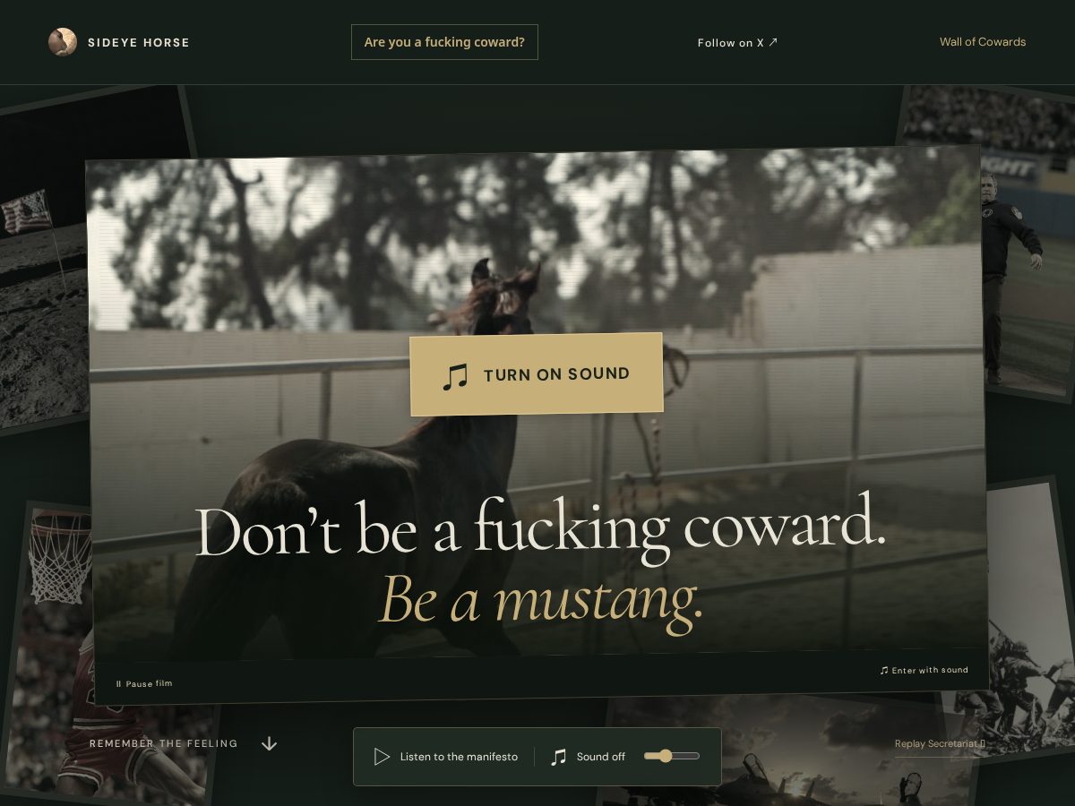 Landing-page snapshot of sideeyehorse.com