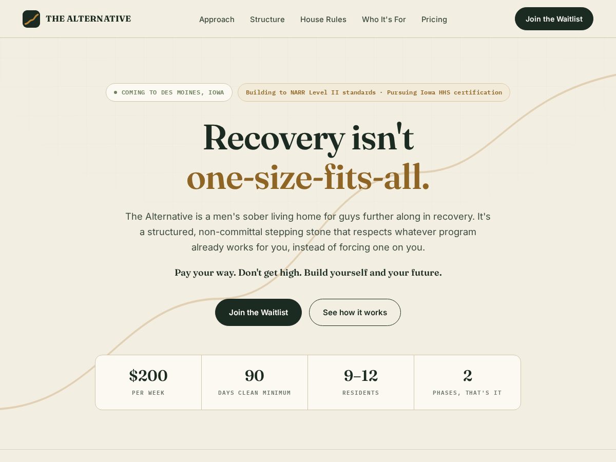 Landing-page snapshot of thealternative.space