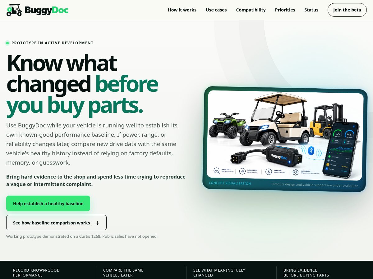 Landing-page snapshot of buggydoc.com