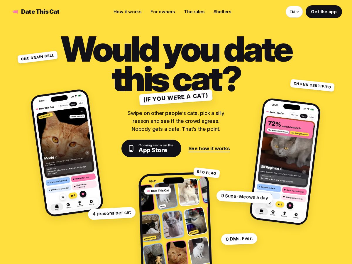Landing-page snapshot of datethiscat.com