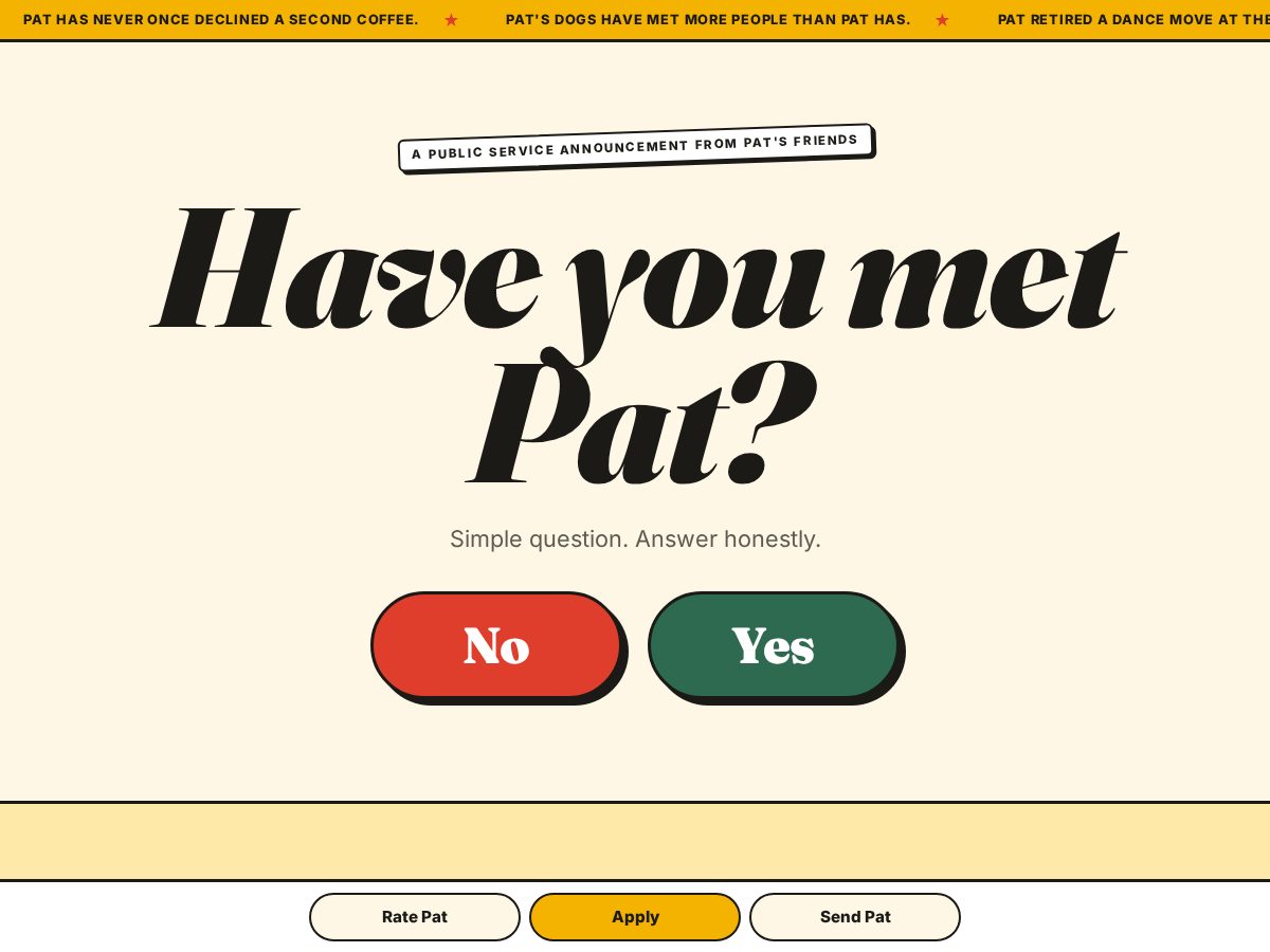 Landing-page snapshot of haveyoumetpat.com