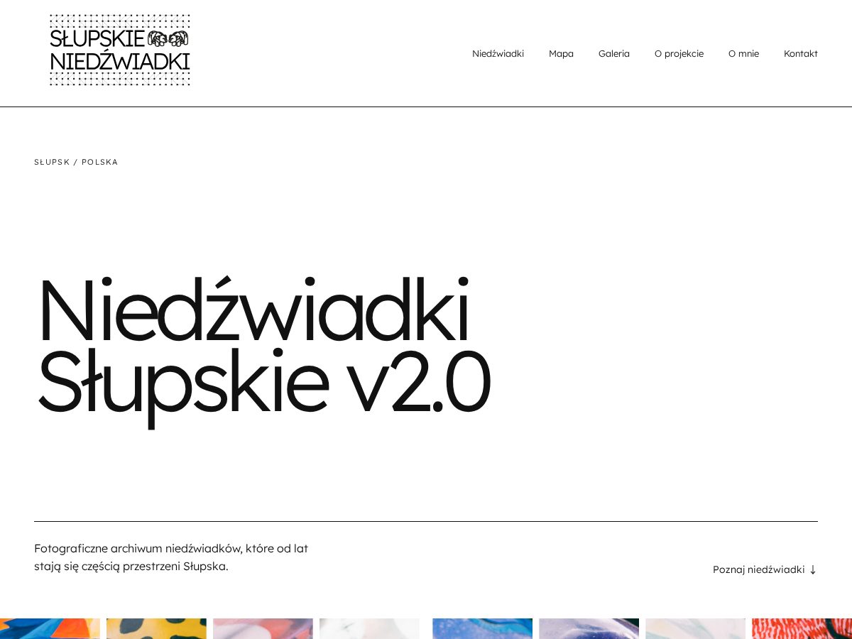 Landing-page snapshot of niedzwiadkislupsk.org