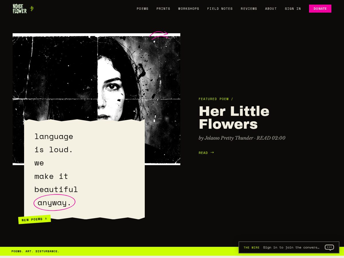 Landing-page snapshot of noiseflower.com