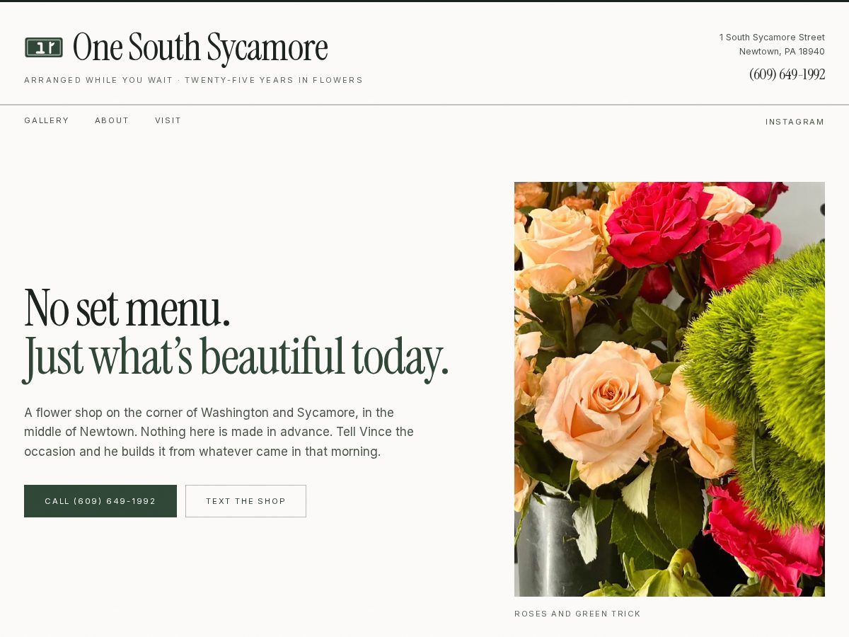 Landing-page snapshot of onesouthsycamore.com