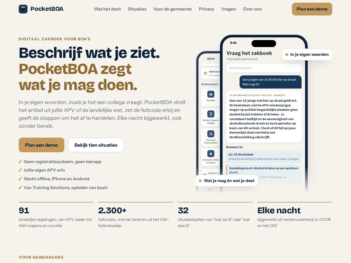 Landing-page snapshot of pocketboa.com